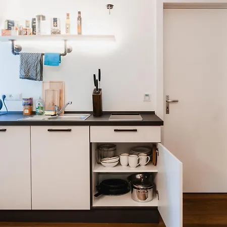 Inselapartment In Altstadtnaehe Appartement Ratisbonne